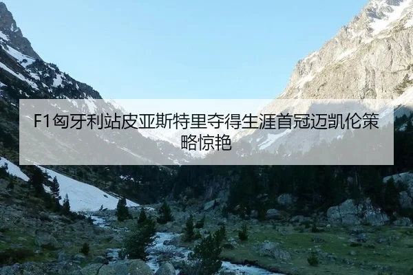 F1匈牙利站皮亚斯特里夺得生涯首冠迈凯伦策略惊艳
